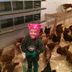 Chickens and kid