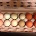 Dozen eggs