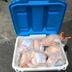 Bag of frozen chicken